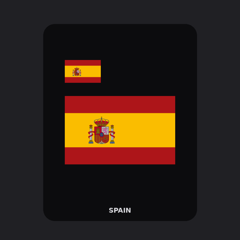 Spain Flag T-Shirt (Chest + Back)