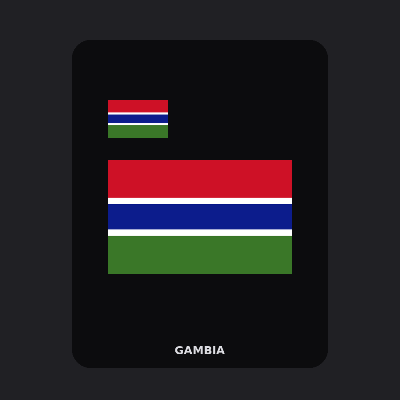 Gambia Flag T-Shirt (Chest + Back)