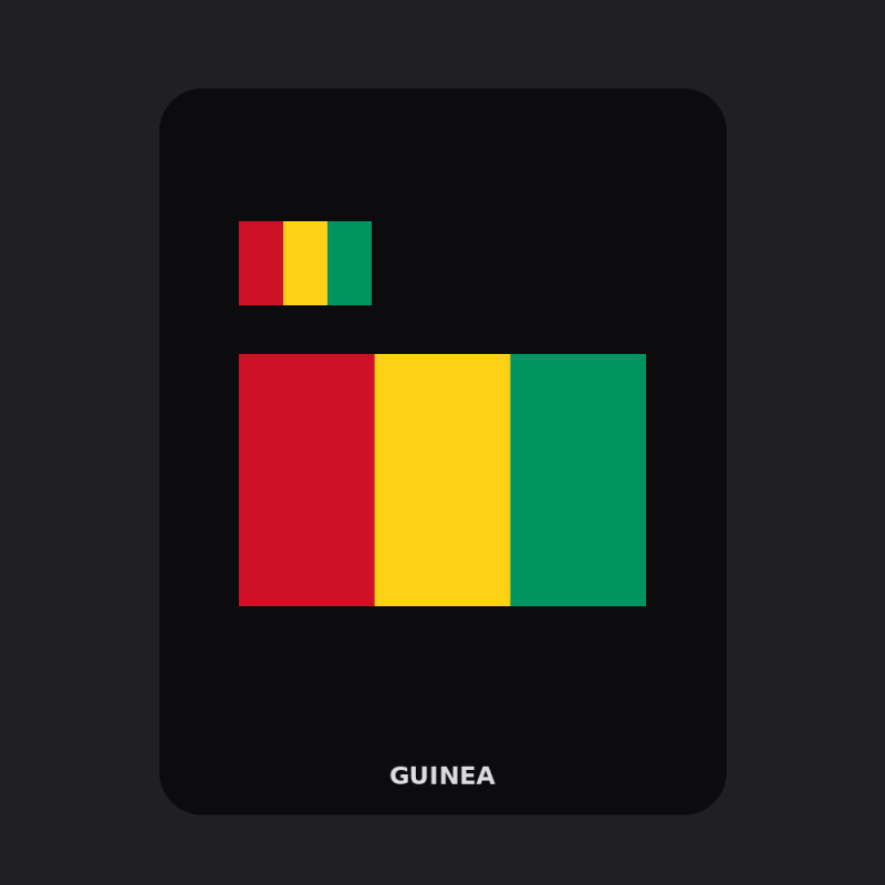 Guinea Flag T-Shirt (Chest + Back)