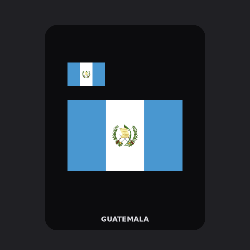 Guatemala Flag T-Shirt (Chest + Back)