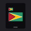 Guyana Flag T-Shirt (Chest + Back)