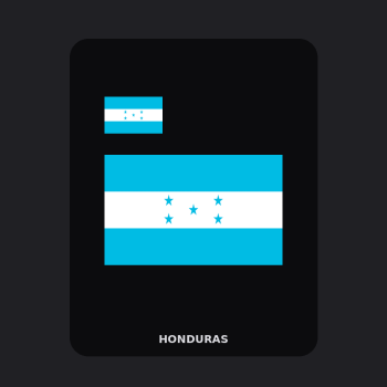 Honduras Flag T-Shirt (Chest + Back)