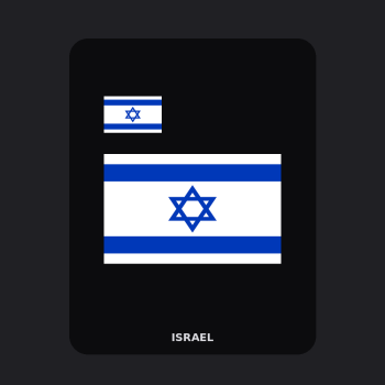 Israel Flag T-Shirt (Chest + Back)