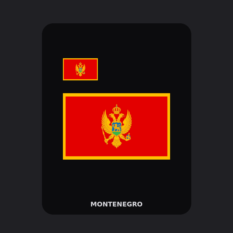 Montenegro Flag T-Shirt (Chest + Back)