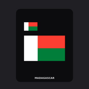 Madagascar Flag T-Shirt (Chest + Back)