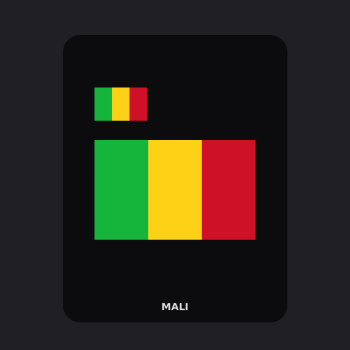 Mali Flag T-Shirt (Chest + Back)