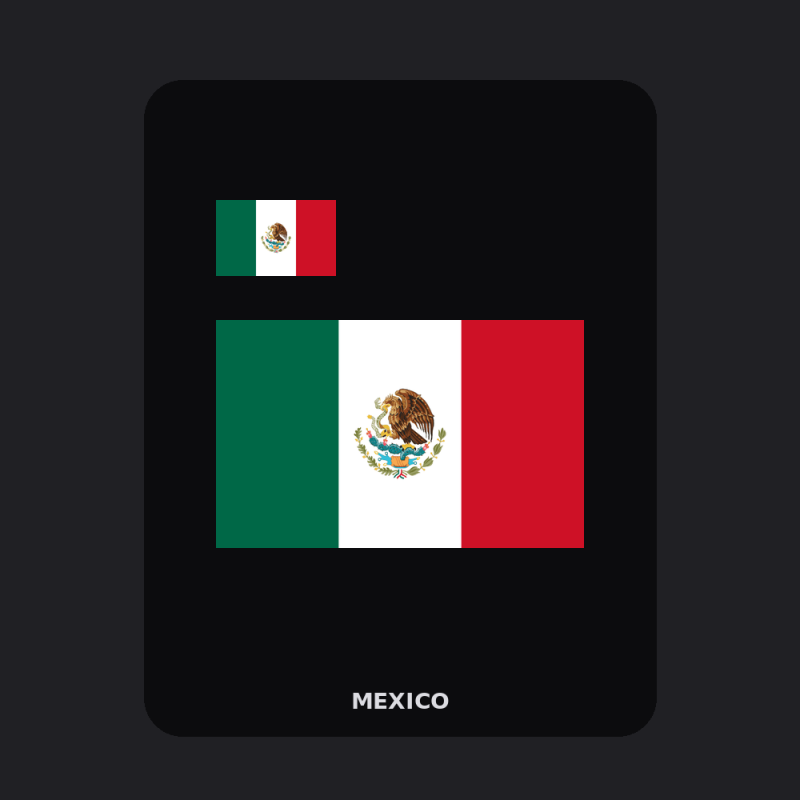 Mexico Flag T-Shirt (Chest + Back)