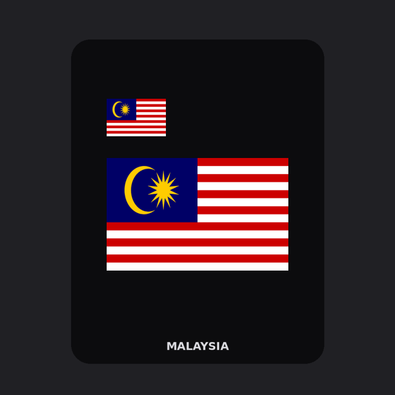 Malaysia Flag T-Shirt (Chest + Back)