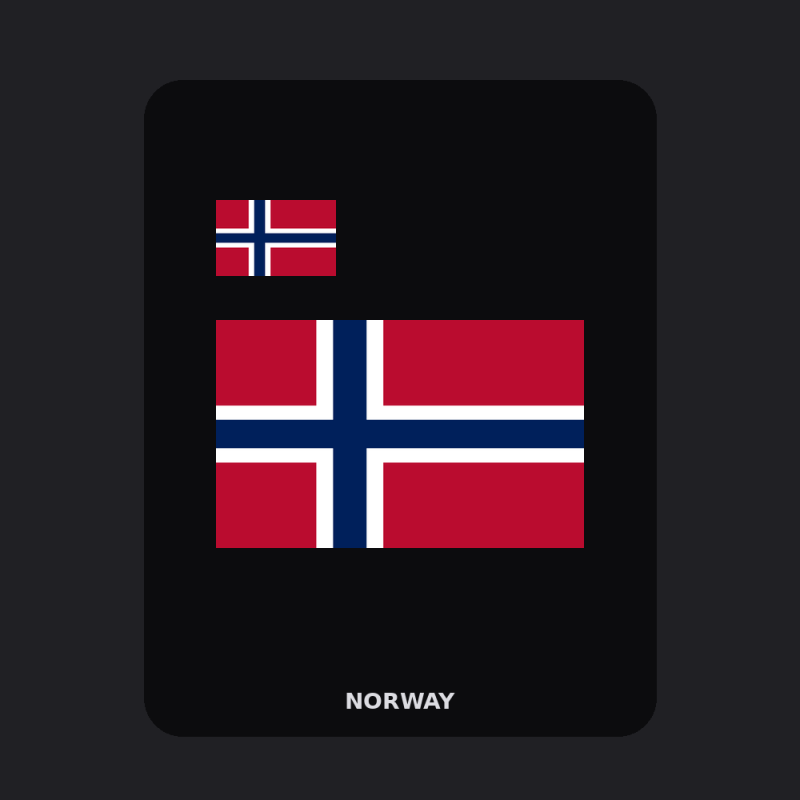 Norway Flag T-Shirt (Chest + Back)