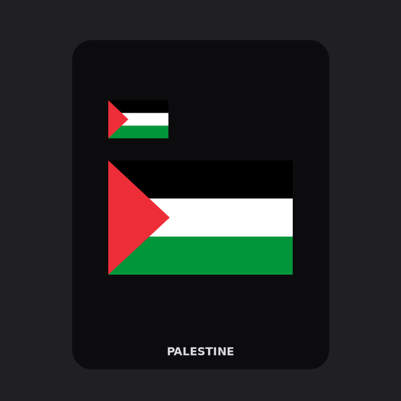 Palestine Flag T-Shirt (Chest + Back)
