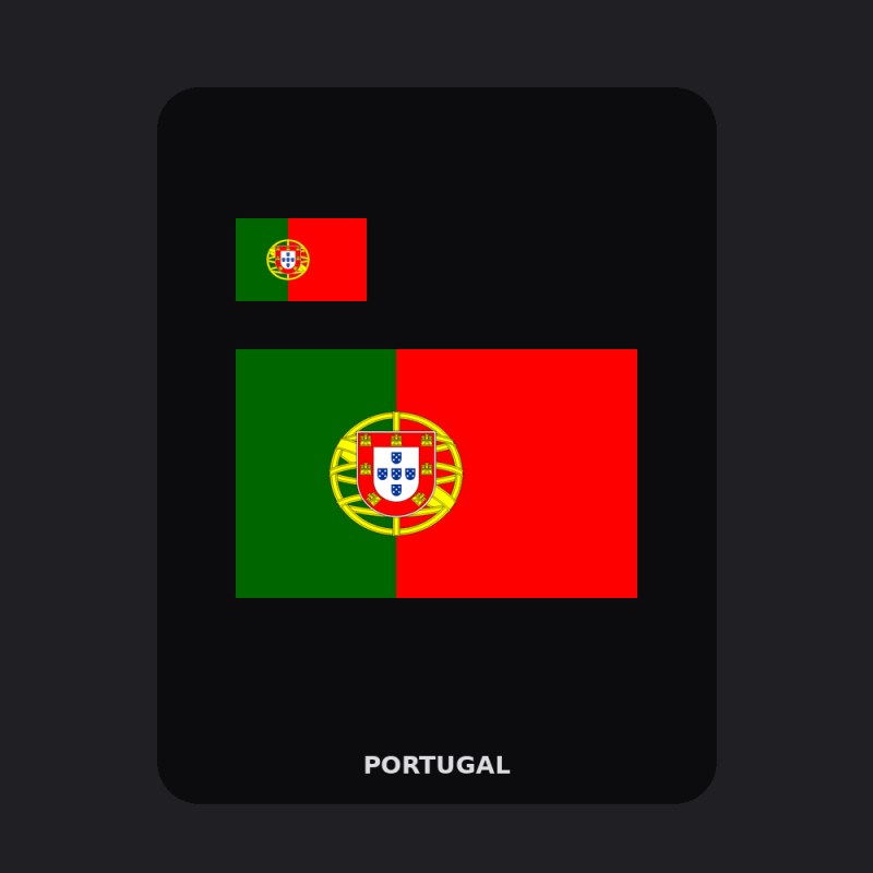 Portugal Flag T-Shirt (Chest + Back)