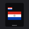 Paraguay Flag T-Shirt (Chest + Back)