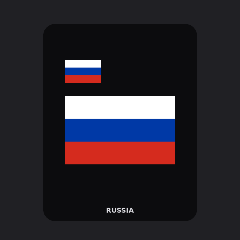 Russia Flag T-Shirt (Chest + Back)