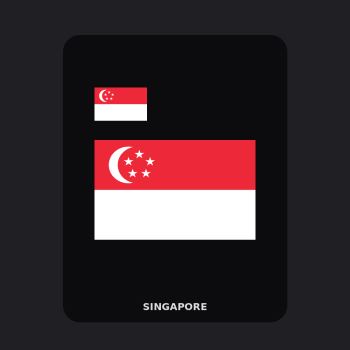Singapore Flag T-Shirt (Chest + Back)