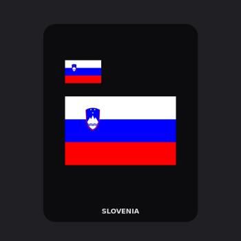Slovenia Flag T-Shirt (Chest + Back)