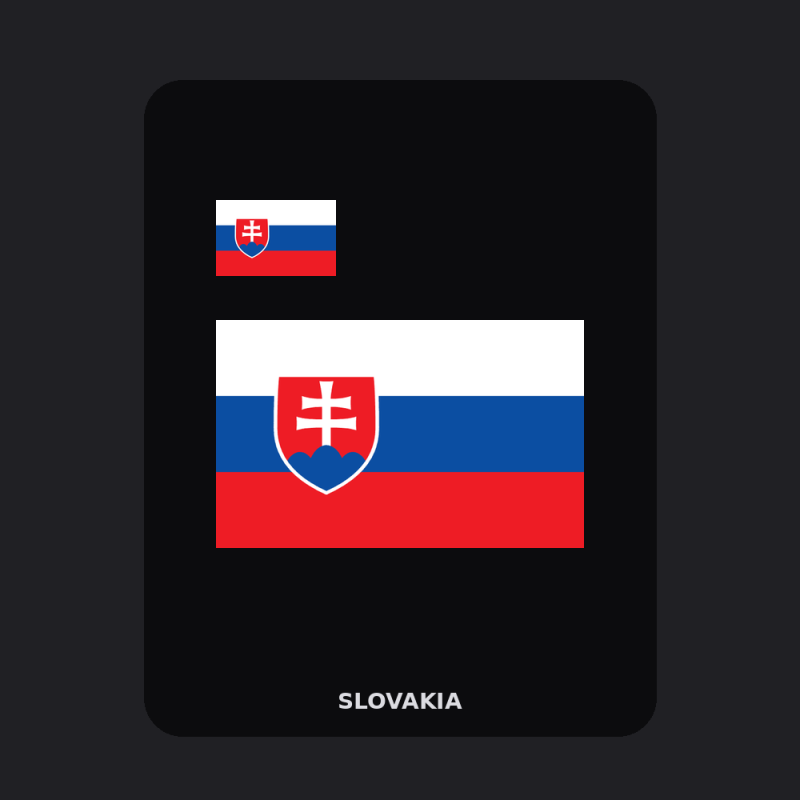 Slovakia Flag T-Shirt (Chest + Back)