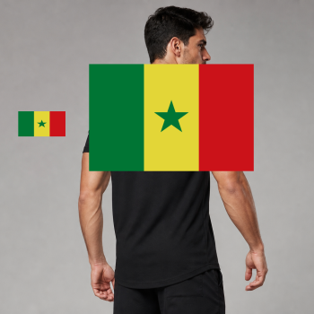 Senegal Flag T-Shirt (Chest + Back)