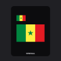 Senegal Flag T-Shirt (Chest + Back)