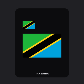 Tanzania Flag T-Shirt (Chest + Back)