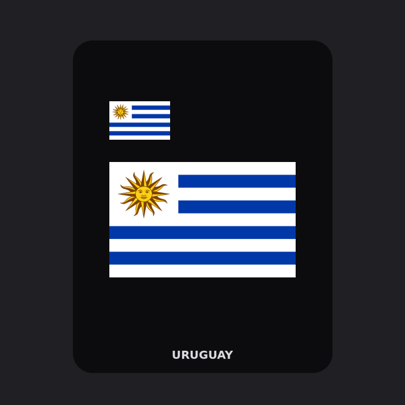 Uruguay Flag T-Shirt (Chest + Back)