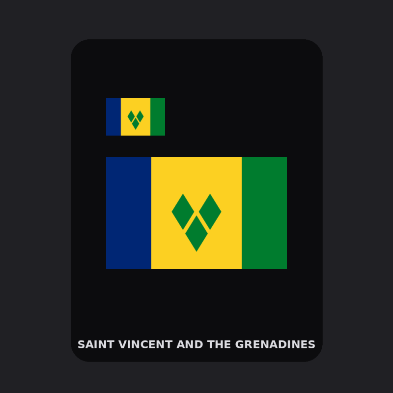 Saint Vincent and the Grenadines Flag T-Shirt (Chest + Back)